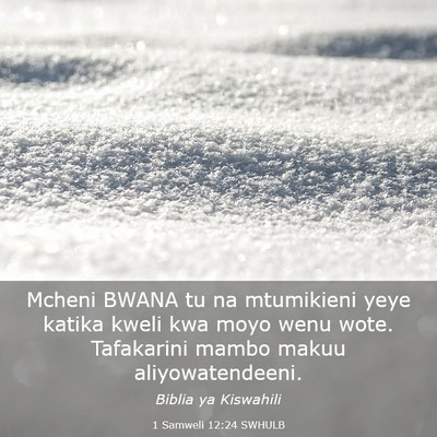 Picture 03 - 1 Samweli 12:24 SWHULB - Mcheni BWANA tu na mtumikieni yeye katika kweli - Bible Verse Picture
