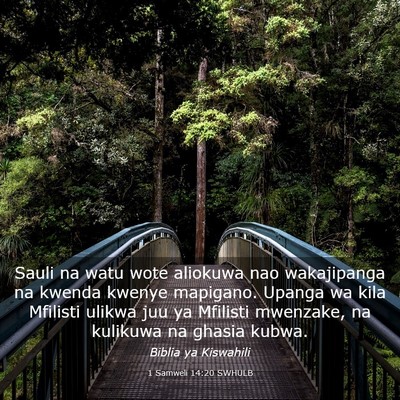 Picture 03 - 1 Samweli 14:20 SWHULB - Sauli na watu wote aliokuwa nao wakajipanga na - Bible Verse Picture