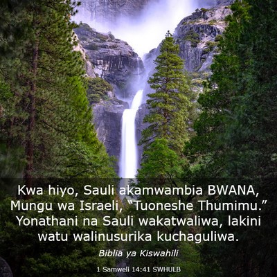 Picture 03 - 1 Samweli 14:41 SWHULB - Kwa hiyo, Sauli akamwambia BWANA, Mungu wa - Bible Verse Picture