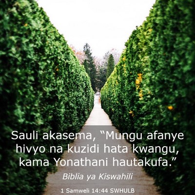 Picture 03 - 1 Samweli 14:44 SWHULB - Sauli akasema, “Mungu afanye hivyo na kuzidi - Bible Verse Picture
