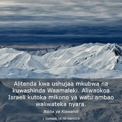 Picture 03 - 1 Samweli 14:48 SWHULB - Alitenda kwa ushujaa mkubwa na kuwashinda - Bible Verse Picture