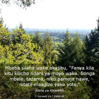 Picture 03 - 1 Samweli 14:7 SWHULB - Mbeba silaha wake akajibu, “Fanya kila kitu - Bible Verse Picture