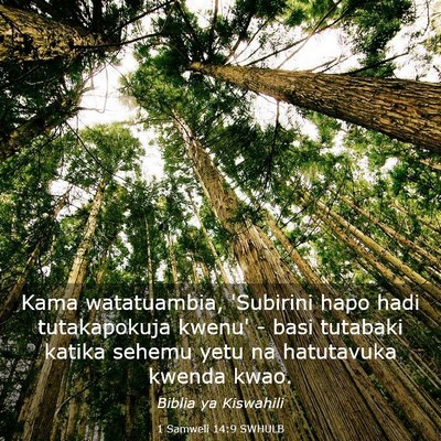 Picture 03 - 1 Samweli 14:9 SWHULB - Kama watatuambia, 'Subirini hapo hadi - Bible Verse Picture