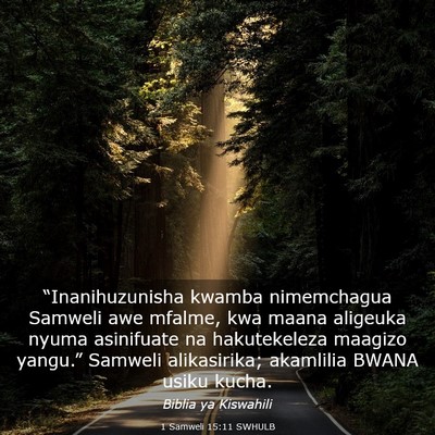 Picture 03 - 1 Samweli 15:11 SWHULB - “Inanihuzunisha kwamba nimemchagua Samweli awe - Bible Verse Picture