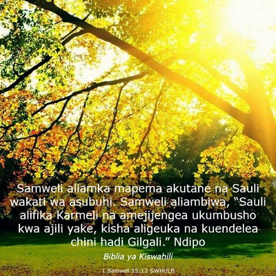 Picture 03 - 1 Samweli 15:12 SWHULB - Samweli aliamka mapema akutane na Sauli wakati wa - Bible Verse Picture