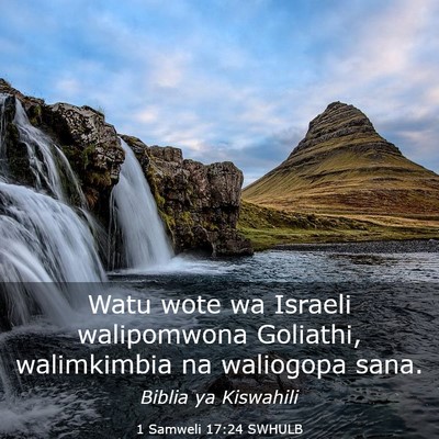 Picture 03 - 1 Samweli 17:24 SWHULB - Watu wote wa Israeli walipomwona Goliathi, - Bible Verse Picture