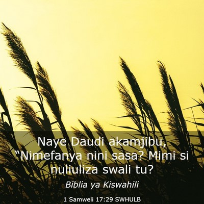 Picture 03 - 1 Samweli 17:29 SWHULB - Naye Daudi akamjibu, “Nimefanya nini sasa? Mimi - Bible Verse Picture