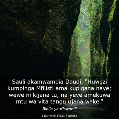 Picture 03 - 1 Samweli 17:33 SWHULB - Sauli akamwambia Daudi, “Huwezi kumpinga - Bible Verse Picture