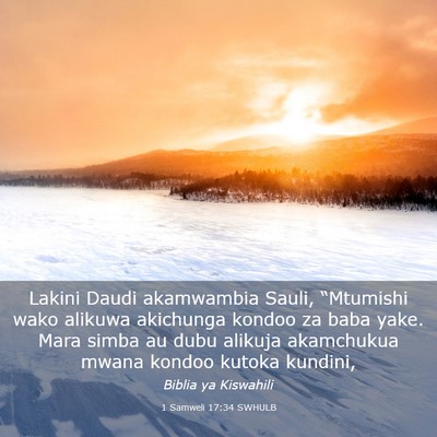 Picture 03 - 1 Samweli 17:34 SWHULB - Lakini Daudi akamwambia Sauli, “Mtumishi wako - Bible Verse Picture