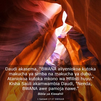 Picture 03 - 1 Samweli 17:37 SWHULB - Daudi akasema, “BWANA aliyeniokoa kutoka - Bible Verse Picture