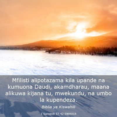 Picture 03 - 1 Samweli 17:42 SWHULB - Mfilisti alipotazama kila upande na kumuona - Bible Verse Picture