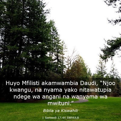 Picture 03 - 1 Samweli 17:44 SWHULB - Huyo Mfilisti akamwambia Daudi, “Njoo kwangu, - Bible Verse Picture