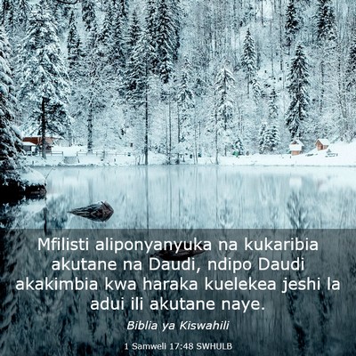Picture 03 - 1 Samweli 17:48 SWHULB - Mfilisti aliponyanyuka na kukaribia akutane na - Bible Verse Picture