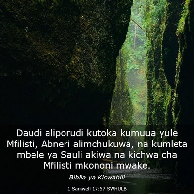 Picture 03 - 1 Samweli 17:57 SWHULB - Daudi aliporudi kutoka kumuua yule Mfilisti, - Bible Verse Picture