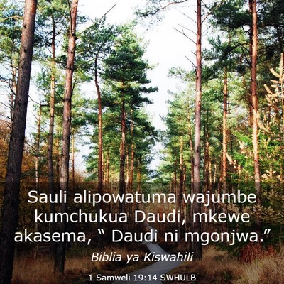 Picture 03 - 1 Samweli 19:14 SWHULB - Sauli alipowatuma wajumbe kumchukua Daudi, mkewe - Bible Verse Picture