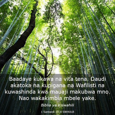Picture 03 - 1 Samweli 19:8 SWHULB - Baadaye kukawa na vita tena. Daudi akatoka na - Bible Verse Picture