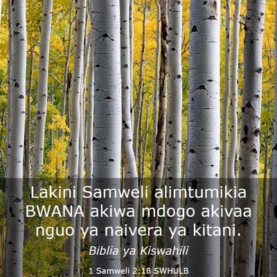 Picture 03 - 1 Samweli 2:18 SWHULB - Lakini Samweli alimtumikia BWANA akiwa mdogo - Bible Verse Picture