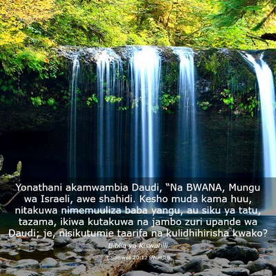 Picture 03 - 1 Samweli 20:12 SWHULB - Yonathani akamwambia Daudi, “Na BWANA, Mungu wa - Bible Verse Picture