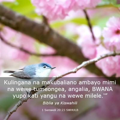 Picture 03 - 1 Samweli 20:23 SWHULB - Kulingana na makubaliano ambayo mimi na wewe - Bible Verse Picture
