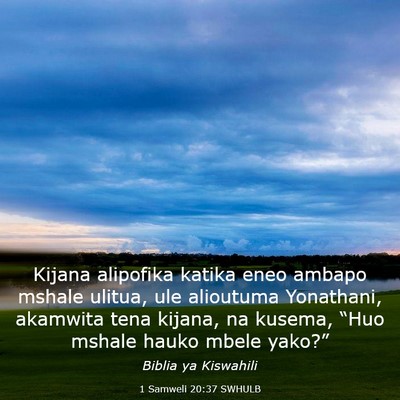 Picture 03 - 1 Samweli 20:37 SWHULB - Kijana alipofika katika eneo ambapo mshale - Bible Verse Picture