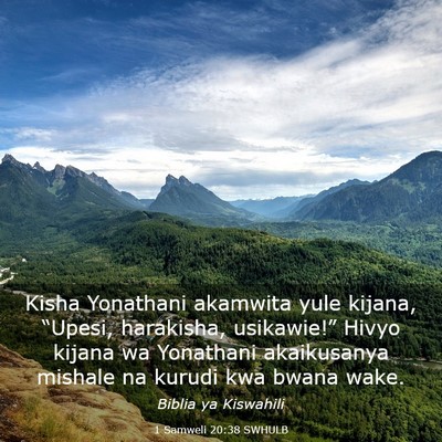 Picture 03 - 1 Samweli 20:38 SWHULB - Kisha Yonathani akamwita yule kijana, “Upesi, - Bible Verse Picture