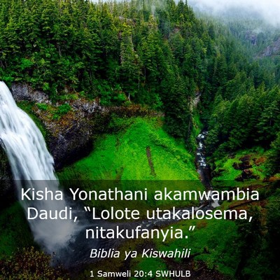 Picture 03 - 1 Samweli 20:4 SWHULB - Kisha Yonathani akamwambia Daudi, “Lolote - Bible Verse Picture