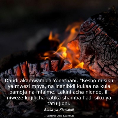 Picture 03 - 1 Samweli 20:5 SWHULB - Daudi akamwambia Yonathani, “Kesho ni siku ya - Bible Verse Picture