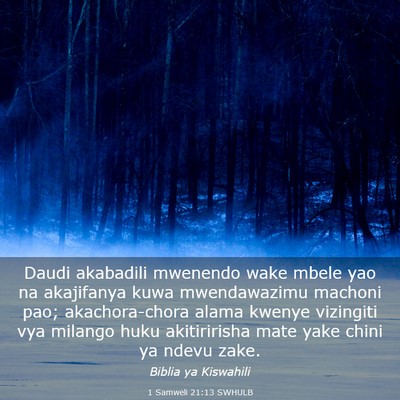 Picture 03 - 1 Samweli 21:13 SWHULB - Daudi akabadili mwenendo wake mbele yao na - Bible Verse Picture