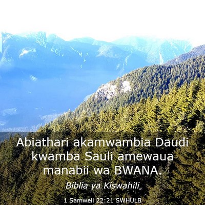 Picture 03 - 1 Samweli 22:21 SWHULB - Abiathari akamwambia Daudi kwamba Sauli amewaua - Bible Verse Picture