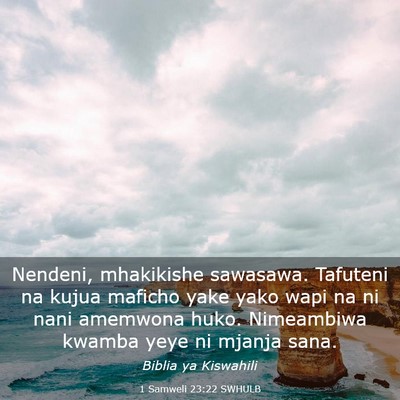 Picture 03 - 1 Samweli 23:22 SWHULB - Nendeni, mhakikishe sawasawa. Tafuteni na kujua - Bible Verse Picture