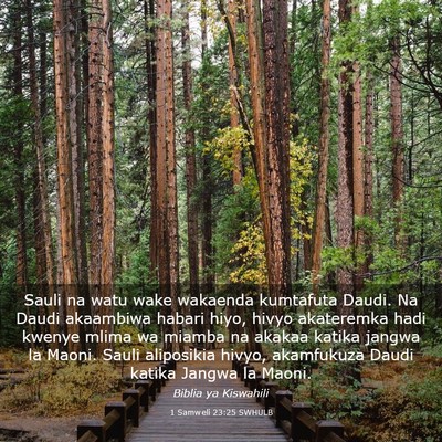 Picture 03 - 1 Samweli 23:25 SWHULB - Sauli na watu wake wakaenda kumtafuta Daudi. Na - Bible Verse Picture
