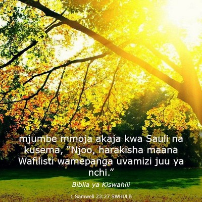 Picture 03 - 1 Samweli 23:27 SWHULB - mjumbe mmoja akaja kwa Sauli na kusema, “Njoo, - Bible Verse Picture