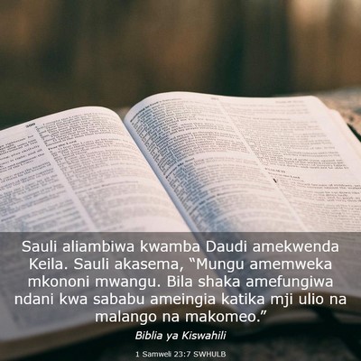 Picture 03 - 1 Samweli 23:7 SWHULB - Sauli aliambiwa kwamba Daudi amekwenda Keila. - Bible Verse Picture