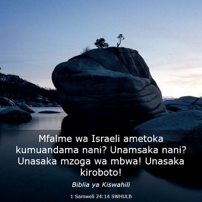 Picture 03 - 1 Samweli 24:14 SWHULB - Mfalme wa Israeli ametoka kumuandama nani? - Bible Verse Picture