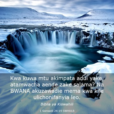Picture 03 - 1 Samweli 24:19 SWHULB - Kwa kuwa mtu akimpata adui yake, atamwacha aende - Bible Verse Picture