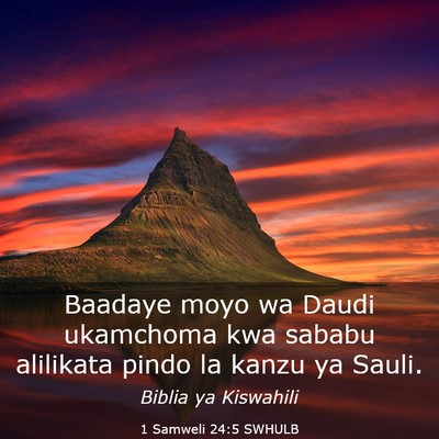 Picture 03 - 1 Samweli 24:5 SWHULB - Baadaye moyo wa Daudi ukamchoma kwa sababu - Bible Verse Picture