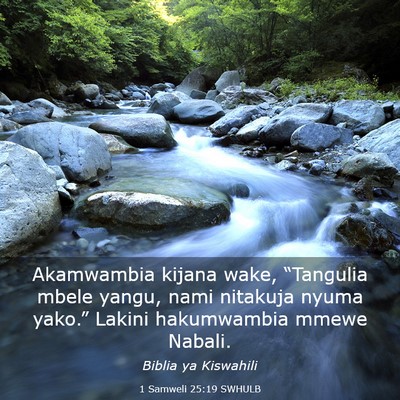 Picture 03 - 1 Samweli 25:19 SWHULB - Akamwambia kijana wake, “Tangulia mbele yangu, - Bible Verse Picture