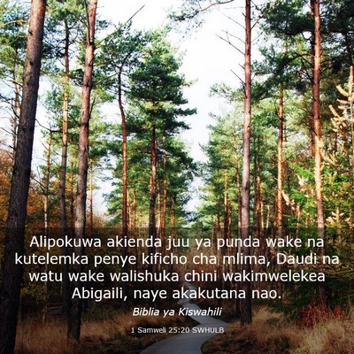Picture 03 - 1 Samweli 25:20 SWHULB - Alipokuwa akienda juu ya punda wake na kutelemka - Bible Verse Picture
