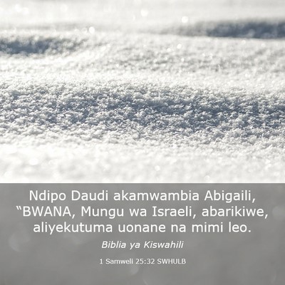Picture 03 - 1 Samweli 25:32 SWHULB - Ndipo Daudi akamwambia Abigaili, “BWANA, Mungu - Bible Verse Picture