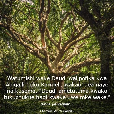 Picture 03 - 1 Samweli 25:40 SWHULB - Watumishi wake Daudi walipofika kwa Abigaili huko - Bible Verse Picture