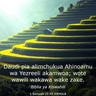 Picture 03 - 1 Samweli 25:43 SWHULB - Daudi pia alimchukua Ahinoamu wa Yezreeli - Bible Verse Picture