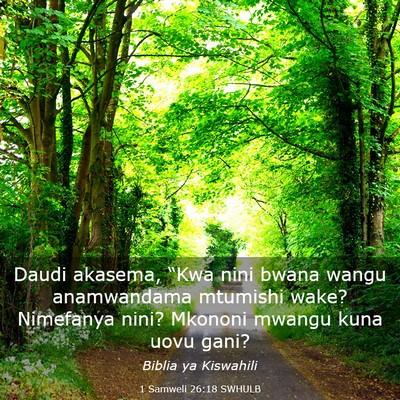 Picture 03 - 1 Samweli 26:18 SWHULB - Daudi akasema, “Kwa nini bwana wangu - Bible Verse Picture