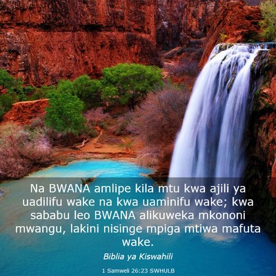 Picture 03 - 1 Samweli 26:23 SWHULB - Na BWANA amlipe kila mtu kwa ajili ya uadilifu - Bible Verse Picture