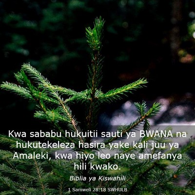 Picture 03 - 1 Samweli 28:18 SWHULB - Kwa sababu hukuitii sauti ya BWANA na - Bible Verse Picture