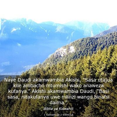 Picture 03 - 1 Samweli 28:2 SWHULB - Naye Daudi akamwambia Akishi, “Sasa utajua kile - Bible Verse Picture