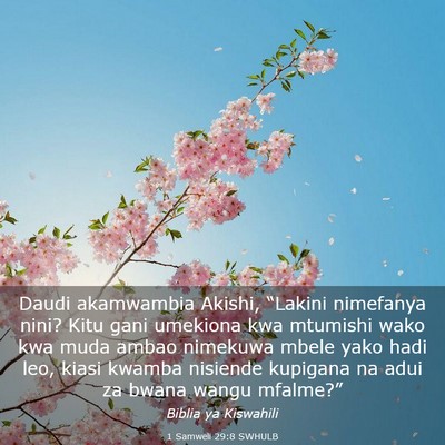 Picture 03 - 1 Samweli 29:8 SWHULB - Daudi akamwambia Akishi, “Lakini nimefanya - Bible Verse Picture