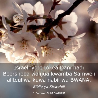 Picture 03 - 1 Samweli 3:20 SWHULB - Israeli yote tokea Dani hadi Beersheba walijua - Bible Verse Picture