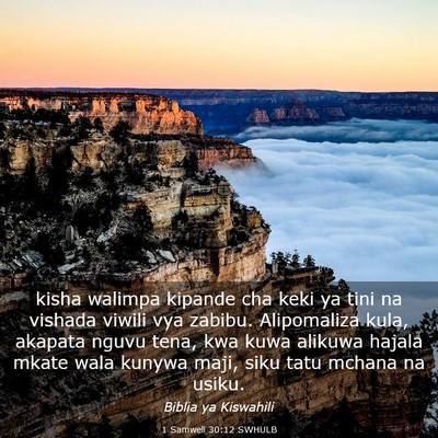 Picture 03 - 1 Samweli 30:12 SWHULB - kisha walimpa kipande cha keki ya tini na vishada - Bible Verse Picture
