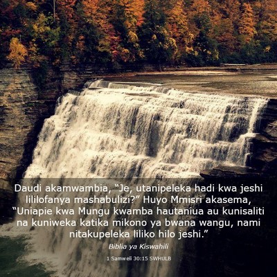 Picture 03 - 1 Samweli 30:15 SWHULB - Daudi akamwambia, “Je, utanipeleka hadi kwa - Bible Verse Picture