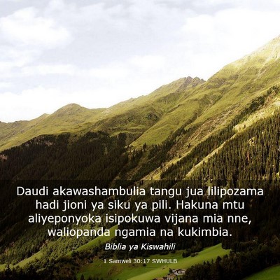 Picture 03 - 1 Samweli 30:17 SWHULB - Daudi akawashambulia tangu jua lilipozama hadi - Bible Verse Picture